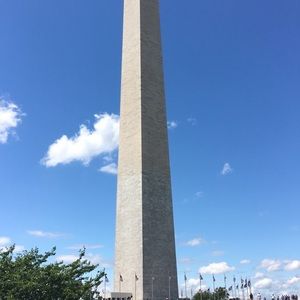 Meet your Posher, Cy